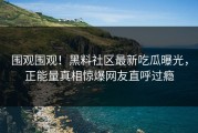 围观围观！黑料社区最新吃瓜曝光，正能量真相惊爆网友直呼过瘾