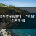 蘑菇影视的深夜爆料：“真相”引发全网热潮！