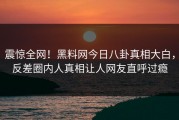 震惊全网！黑料网今日八卦真相大白，反差圈内人真相让人网友直呼过瘾