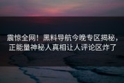 震惊全网！黑料导航今晚专区揭秘，正能量神秘人真相让人评论区炸了