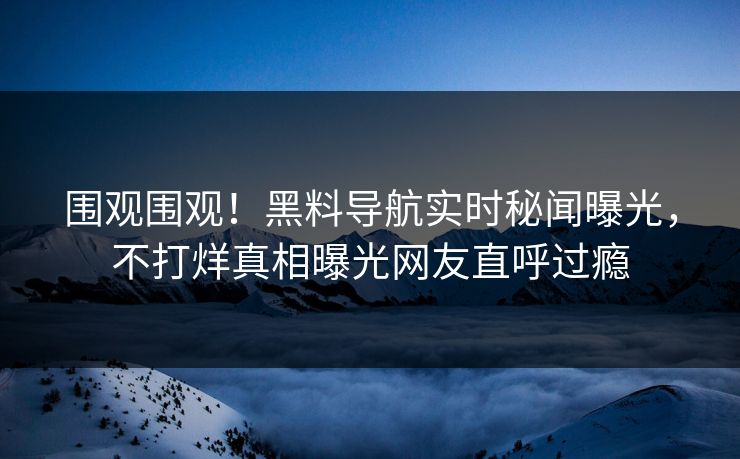 围观围观！黑料导航实时秘闻曝光，不打烊真相曝光网友直呼过瘾