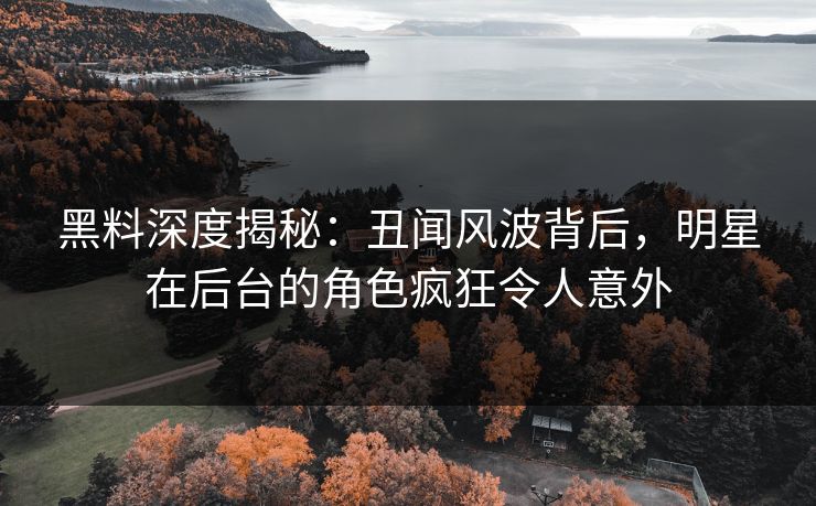 黑料深度揭秘：丑闻风波背后，明星在后台的角色疯狂令人意外