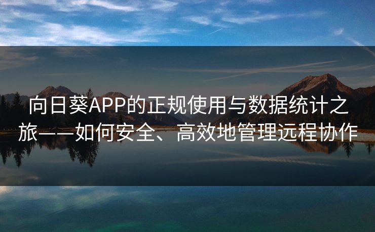 向日葵APP的正规使用与数据统计之旅——如何安全、高效地管理远程协作
