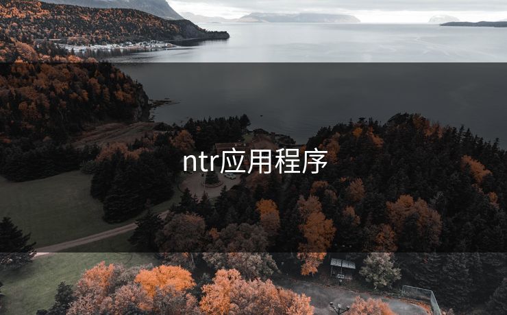 ntr应用程序