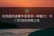 在热度的迷雾中发现另一种魅力：冷门栏目的惊艳之处