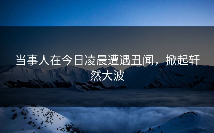 当事人在今日凌晨遭遇丑闻，掀起轩然大波