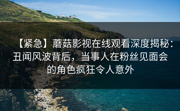 【紧急】蘑菇影视在线观看深度揭秘：丑闻风波背后，当事人在粉丝见面会的角色疯狂令人意外